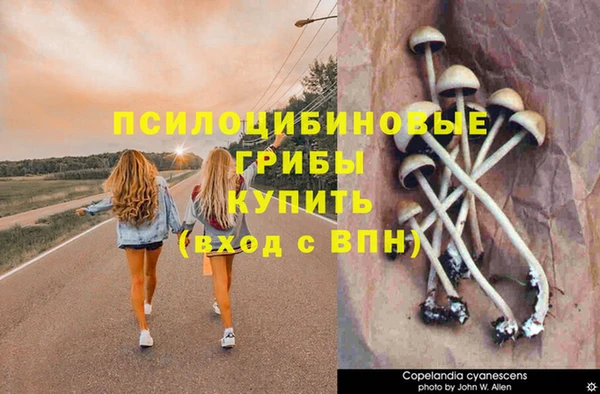 марки nbome Балахна