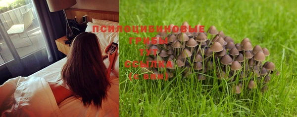 гашиш Баксан